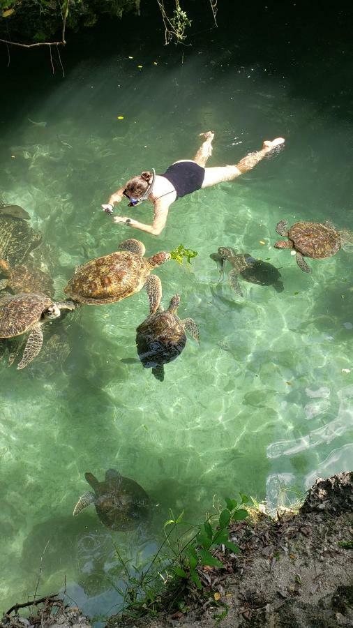 Baraka Aquarium Bungalows Нунгви Экстерьер фото